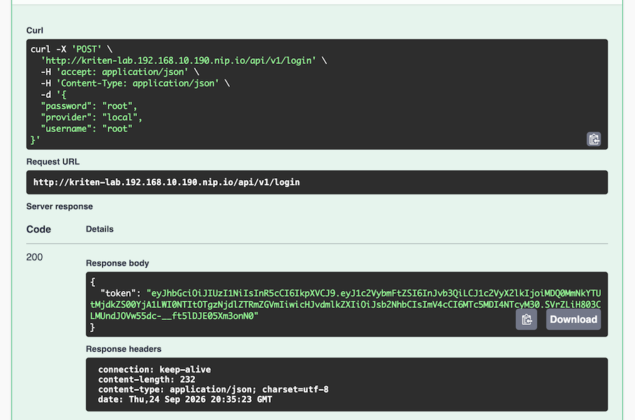 Kriten swagger login token